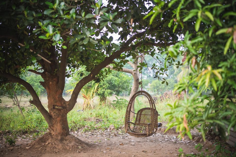 Aare waterfalls homestay Farm Stay in Andhra Pradesh