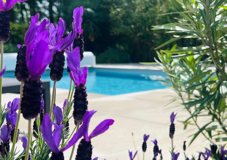 Villa Poujeau - Climatisée - Piscine au sel - Système anti moustique Villa in Nouvelle-Aquitaine