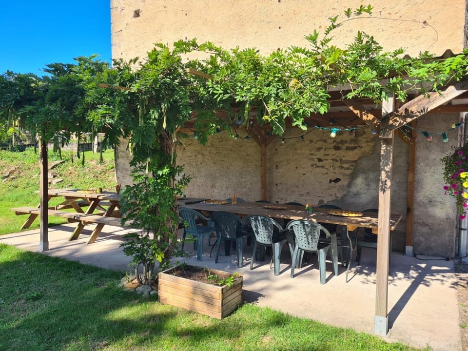Patio, Spring, Summer, Garden, Balcony/Terrace, Food, Area and facilities, Lunch, Dinner