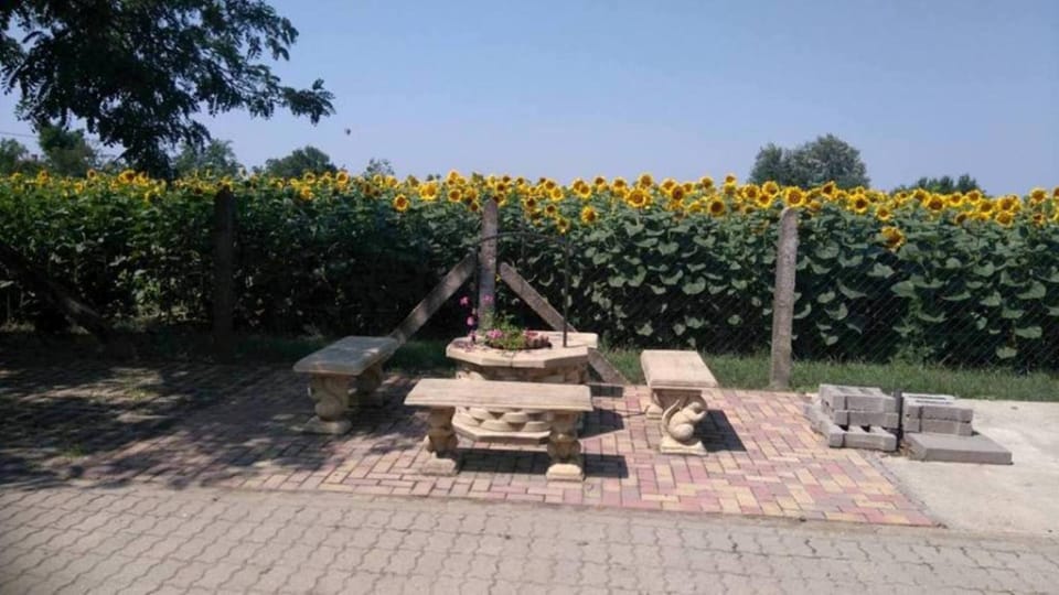 Horgász-Vadász Vendégház Bed and Breakfast in Hungary