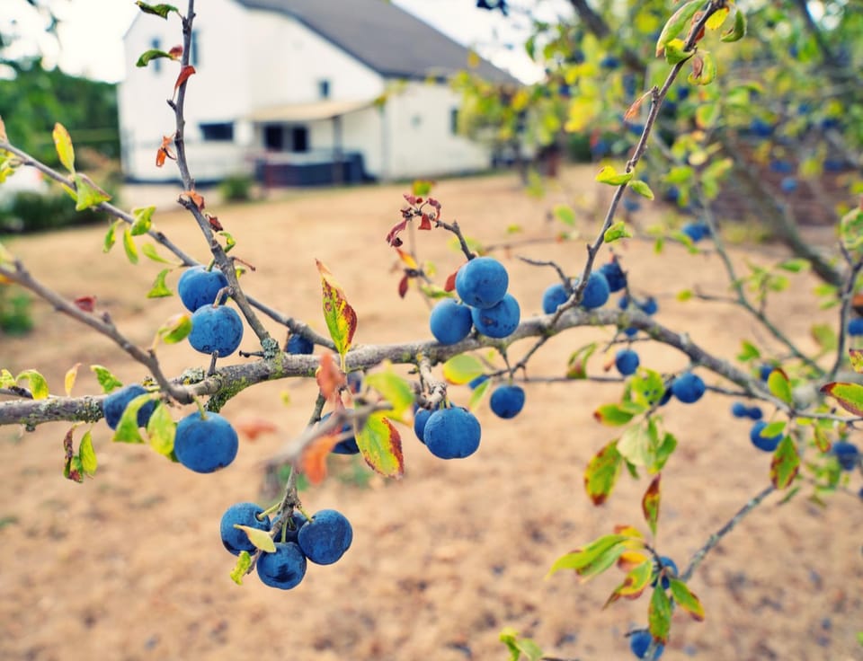 Gîte du Volcan House in Wallonia, Belgium