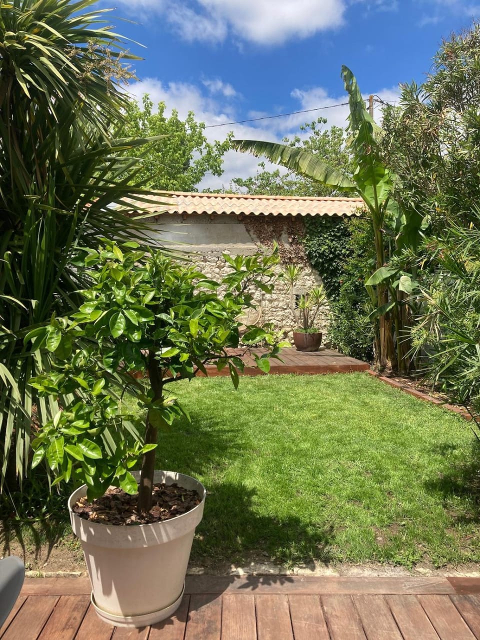 Spring, Natural landscape, Garden, Garden view