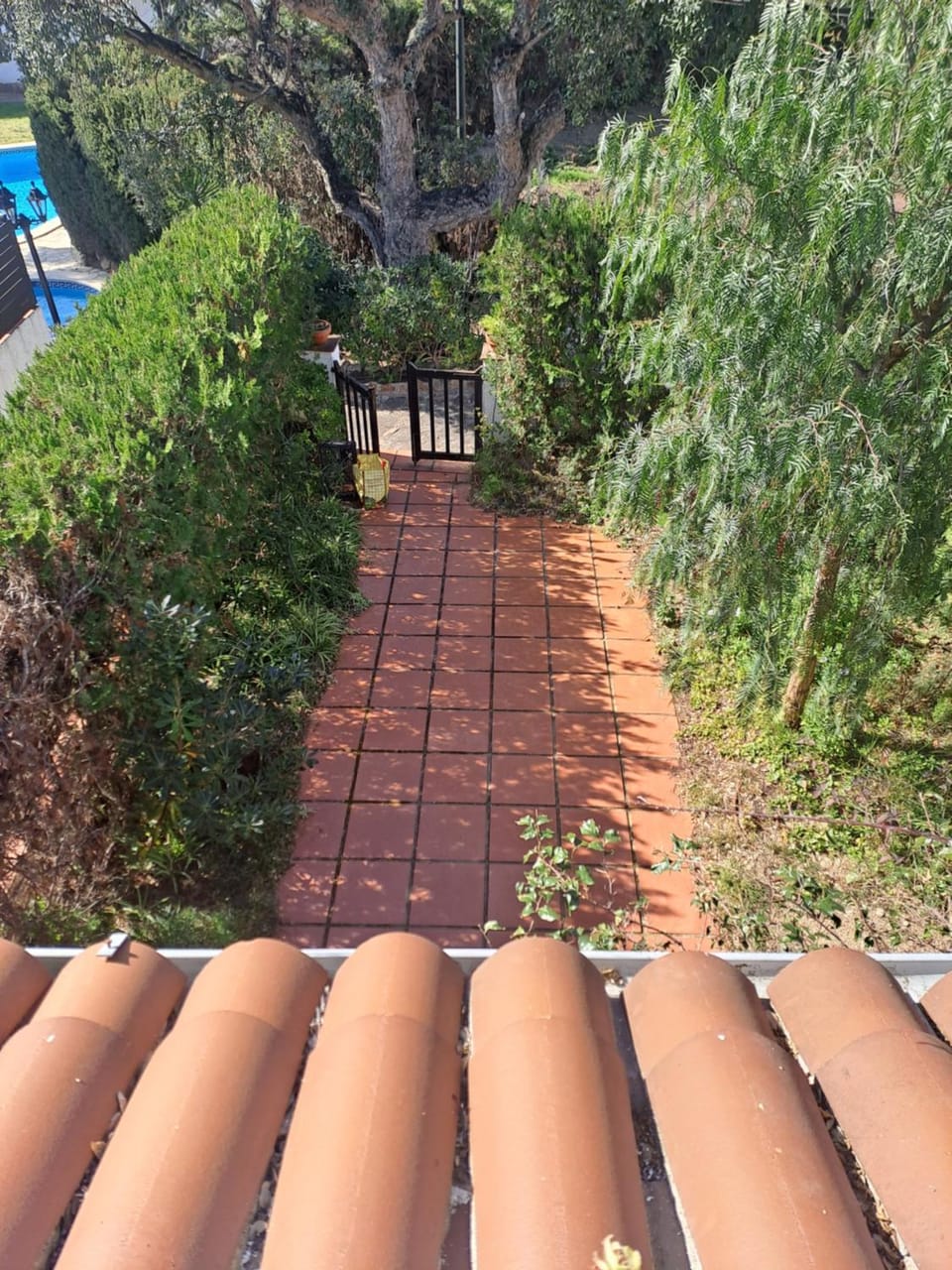 Garden view