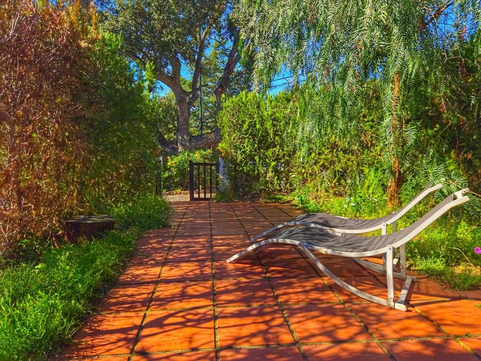 Spring, Day, Natural landscape, Garden, Garden view, sunbed
