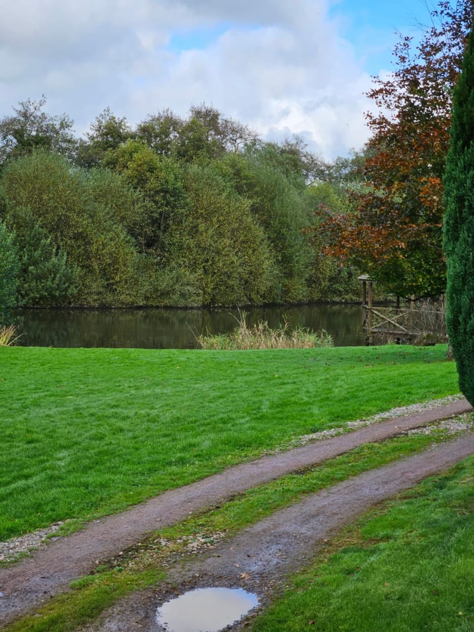 Natural landscape, Garden view, Lake view