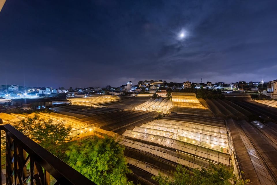 Night, Natural landscape, View (from property/room), View (from property/room)