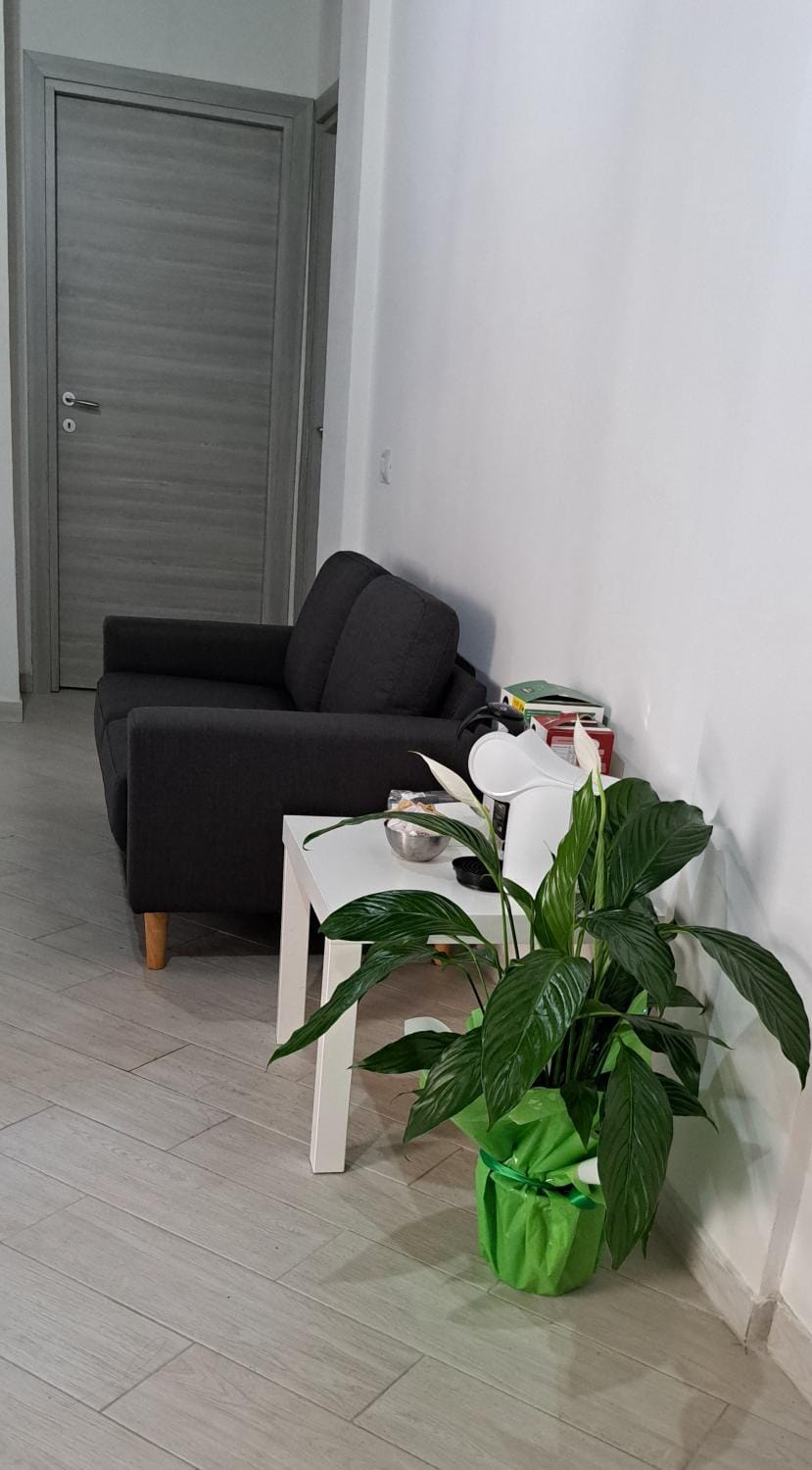 Civico 52 Modena Int 7 Apartment in Modena