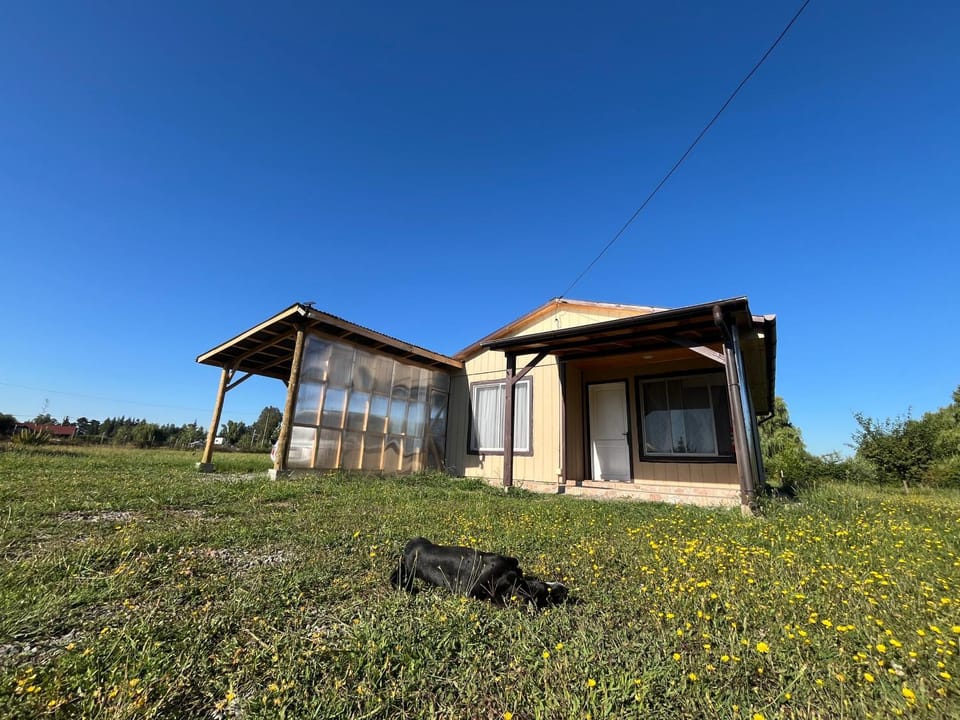 Property building, Spring, Day, Garden, Garden view