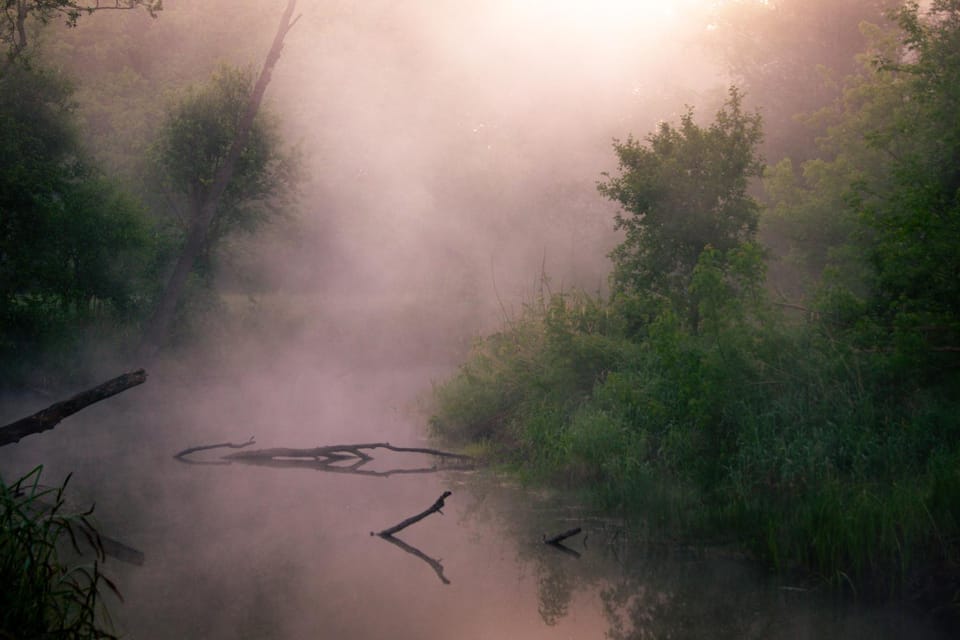 Natural landscape, River view
