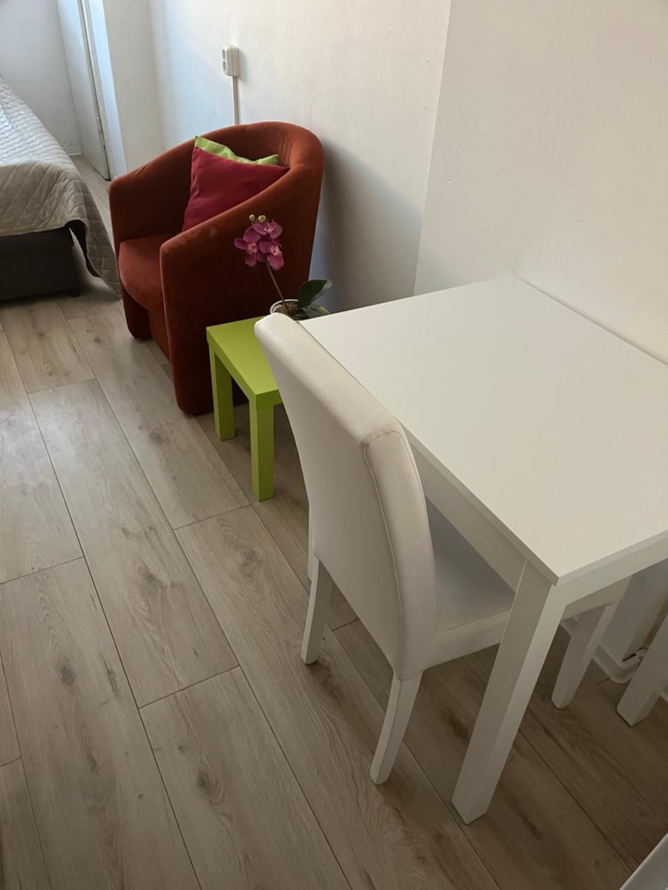 Budget Single Room Old Town Hostel in Slovakia