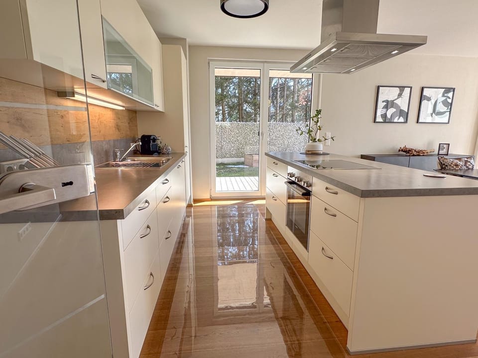 Kitchen or kitchenette, dishwasher, stove