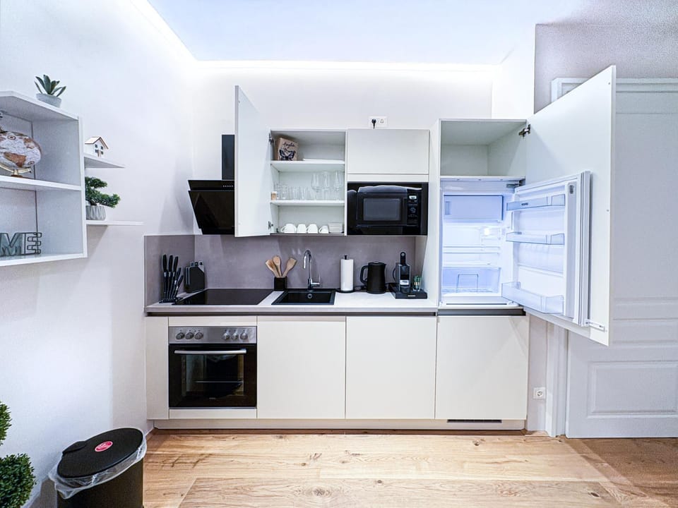 2 BDR - Apartment Magnificence, in Vienna's City Center Apartment in Vienna