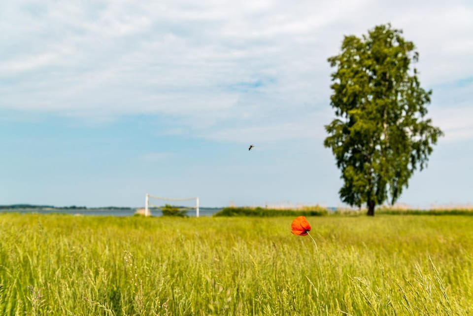 Natural landscape, Area and facilities