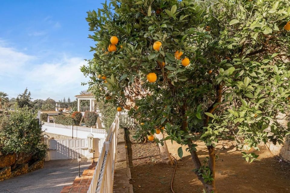 Unforgettable Luxury in Marbella Villa - RDR461 Villa in Marbella