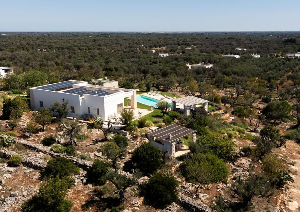 Property building, Spring, Summer, Other, On site, Area and facilities, Swimming pool