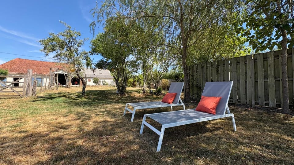 Natural landscape, Garden, Garden view