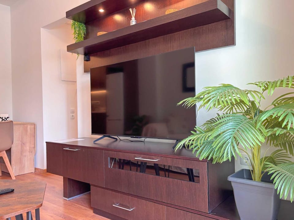 TV and multimedia