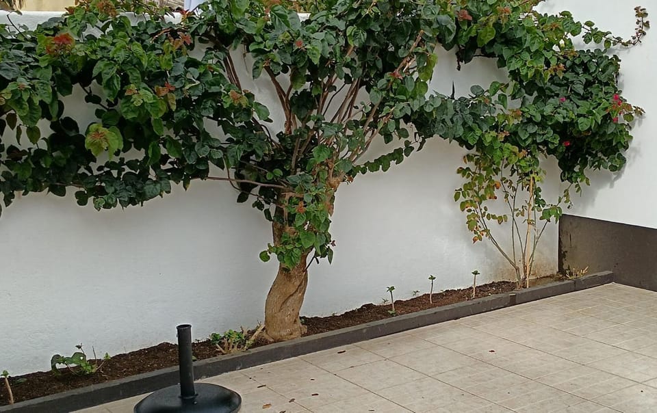 Garden, Garden view