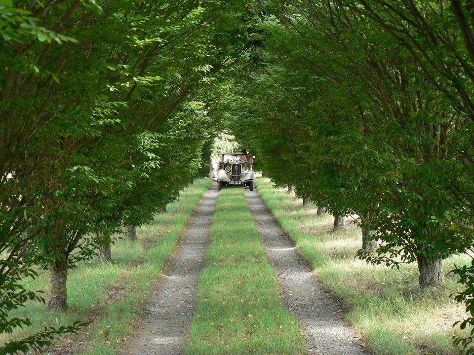 Ferme Saint Joseph Bed and Breakfast in Occitanie