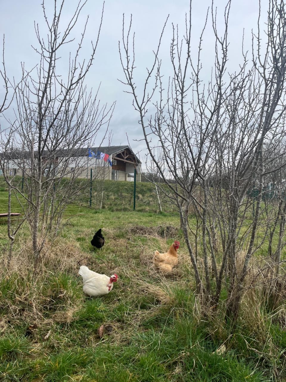 am house Apartment in Saarland, 66, Germany
