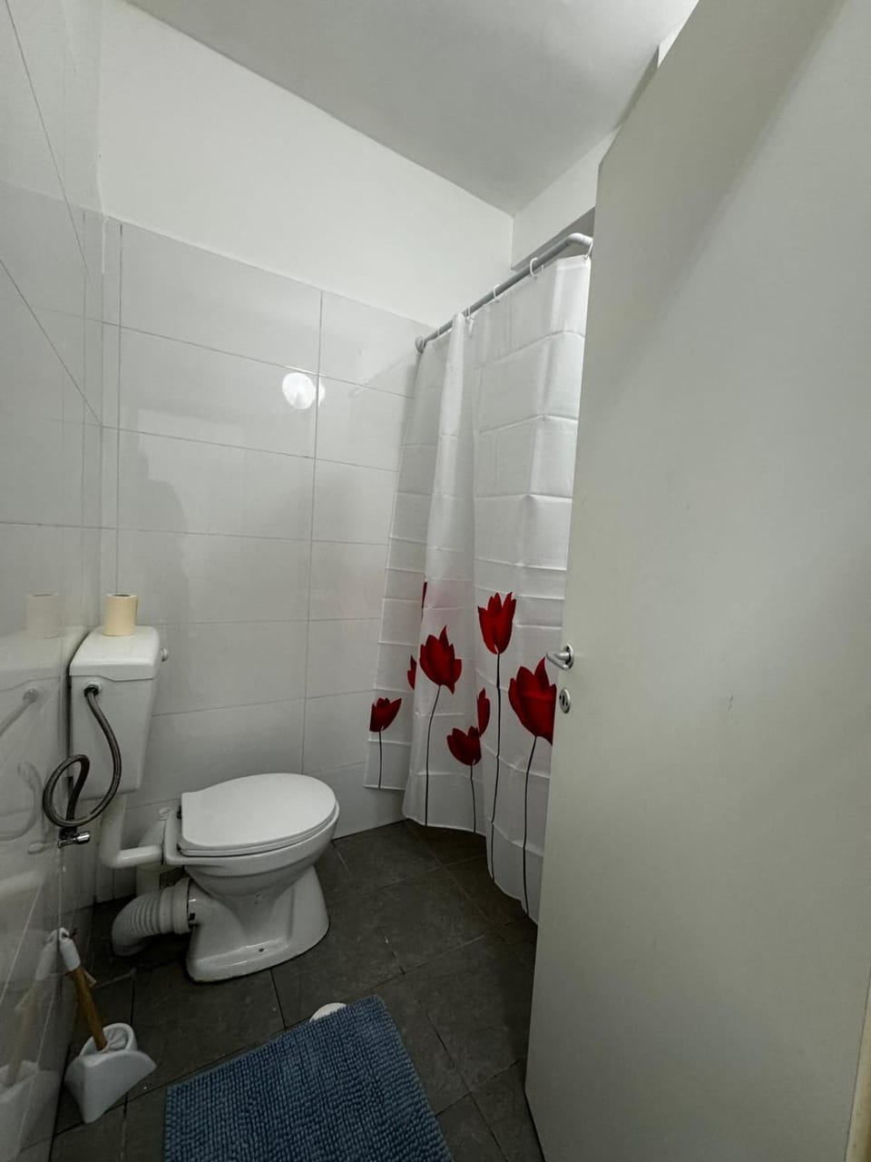 Shower, Toilet