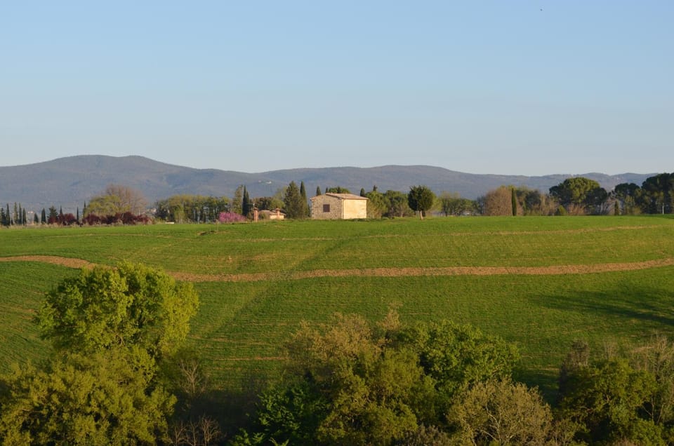 Natural landscape
