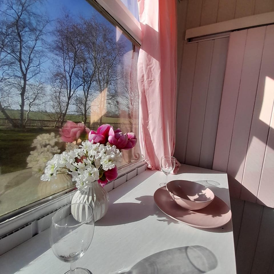 View (from property/room), Dining area