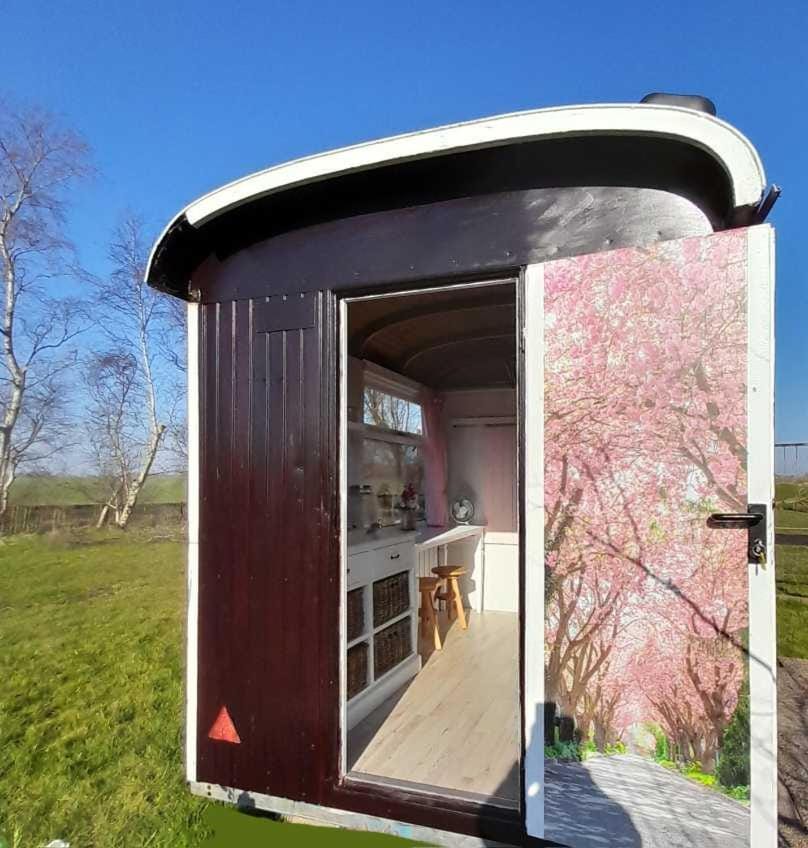 Property building, Spring, Day, Garden, View (from property/room), Garden view