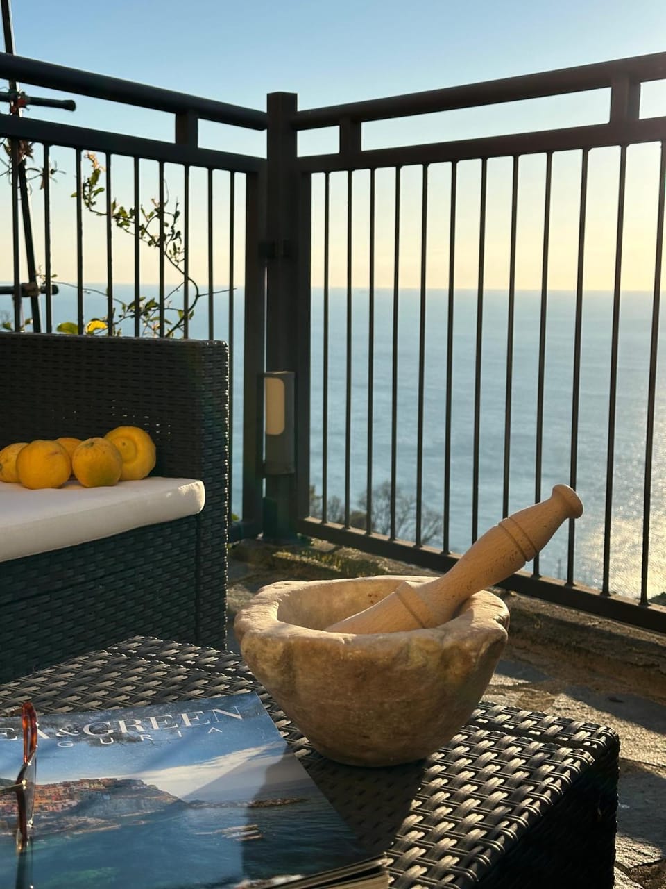 Natural landscape, View (from property/room), Balcony/Terrace, Sea view