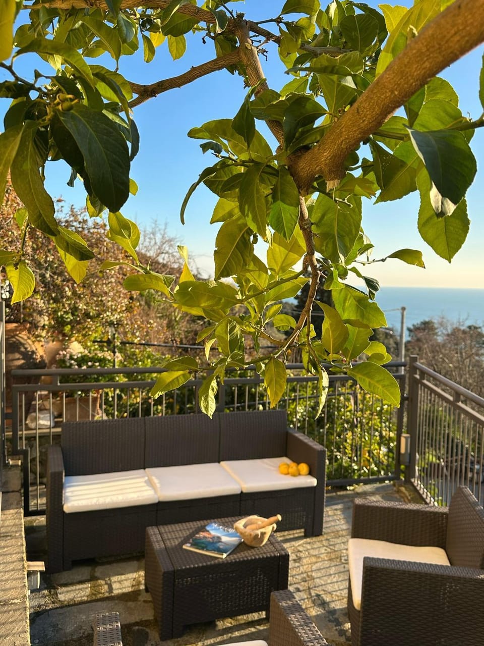 Natural landscape, Garden, View (from property/room), Balcony/Terrace, Garden view, Sea view