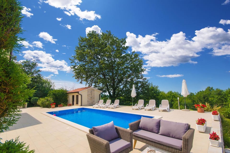 Patio, Day, Garden, Garden view, Pool view, Swimming pool, sunbed