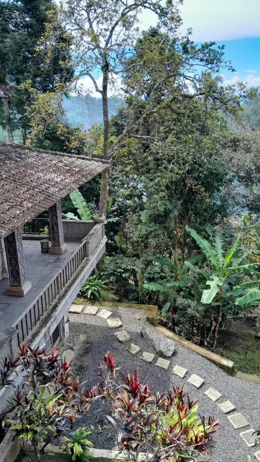 Property building, Natural landscape, Garden, Balcony/Terrace