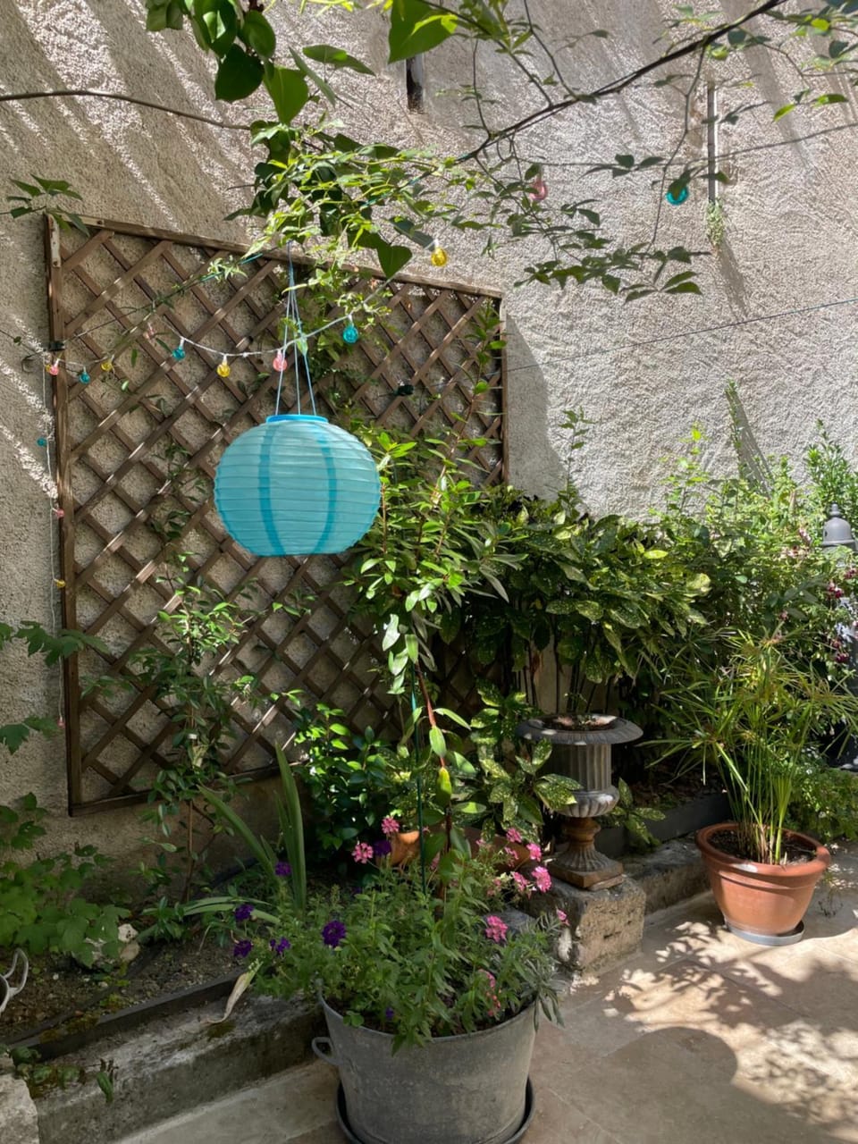 Chambre Veteranova Bed and Breakfast in Blois