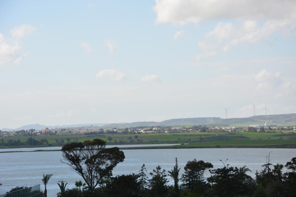 View (from property/room)