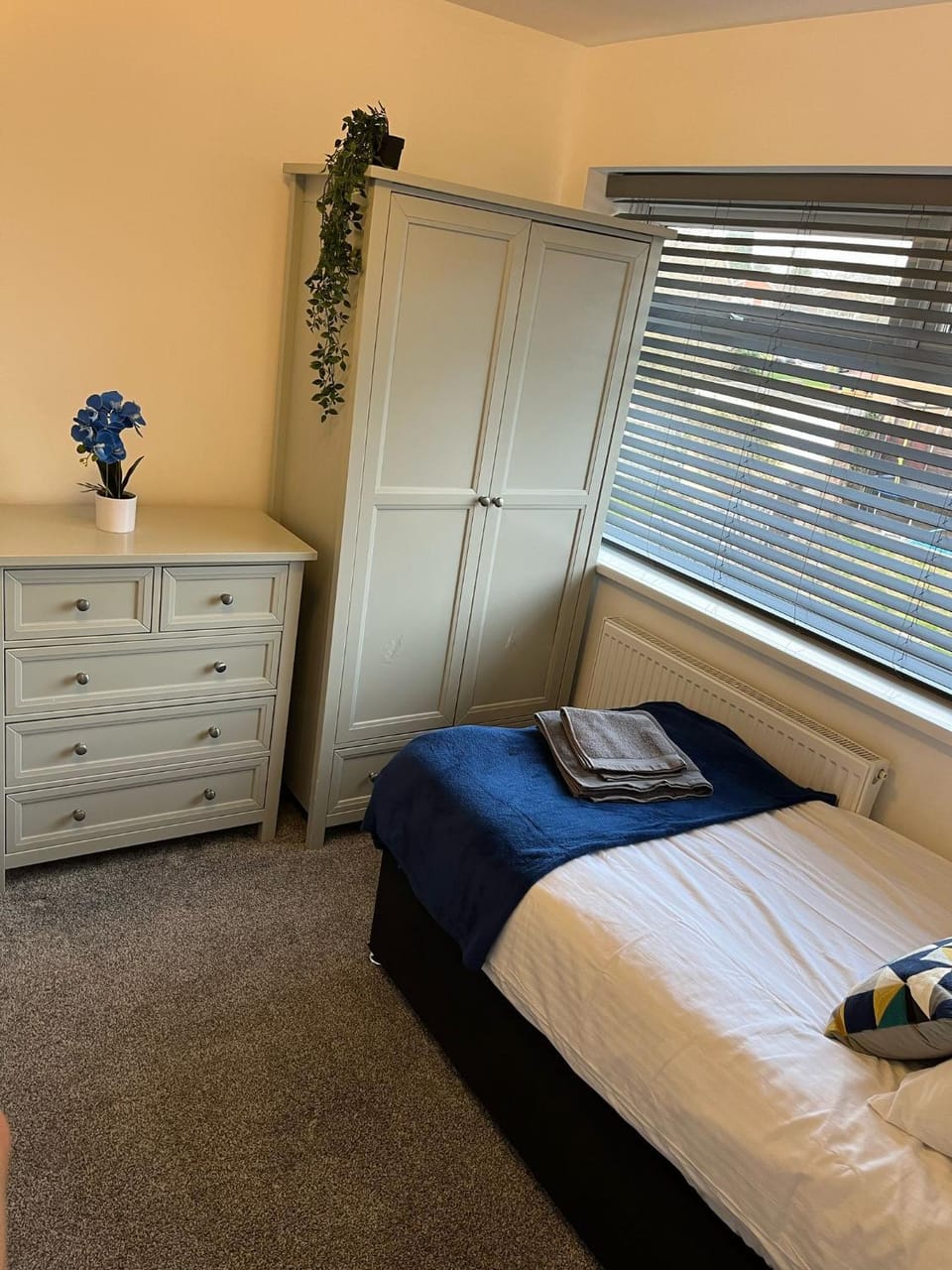 Bed, Photo of the whole room, Bedroom, wardrobe