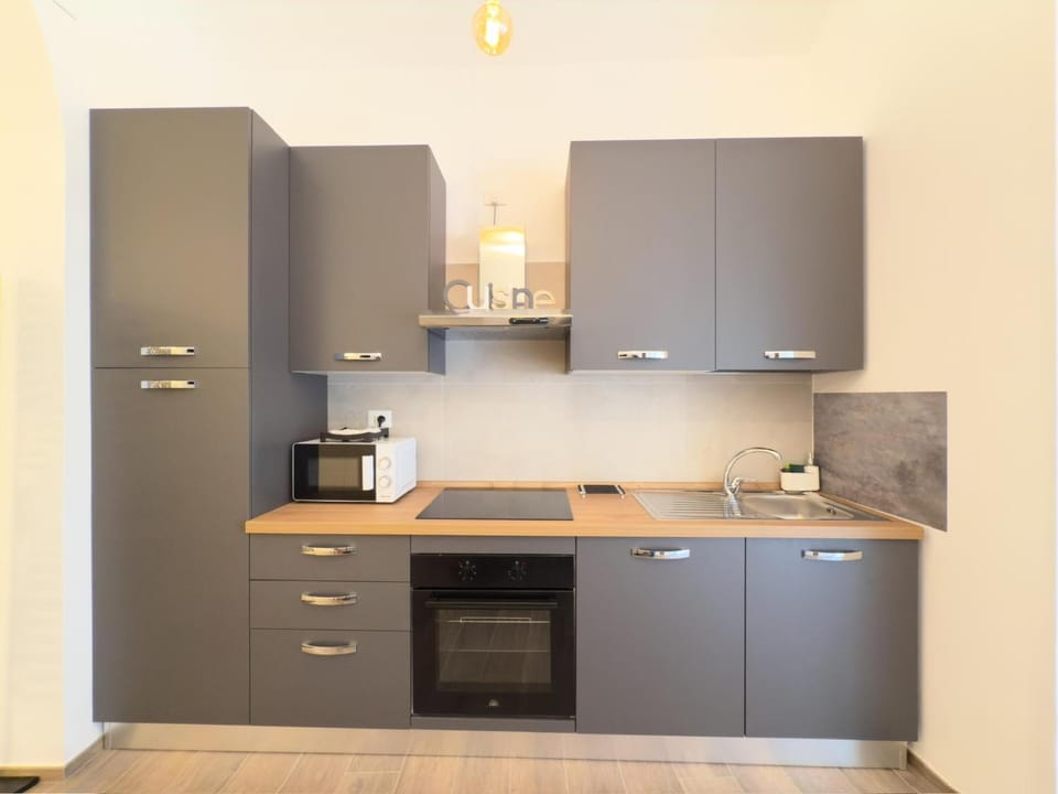 Kitchen or kitchenette, minibar, pet friendly, stove