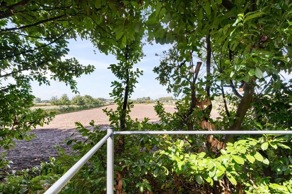 Day, Natural landscape, Garden view