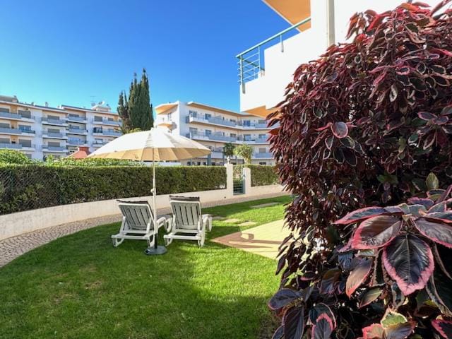 Garden, Garden view, Swimming pool, sunbed