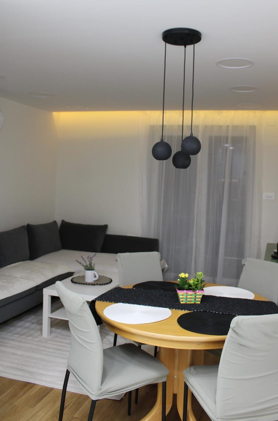 Living room, Dining area, air conditioner