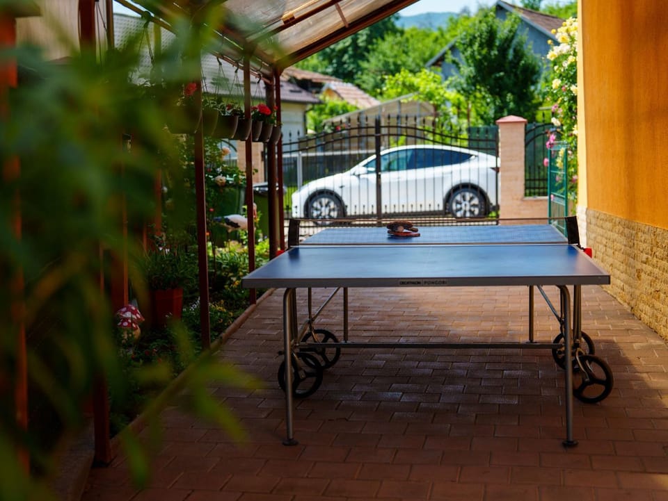 Table tennis