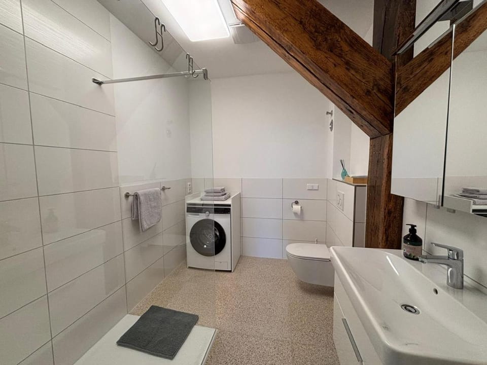 Shower, Toilet, Bathroom, washing machine