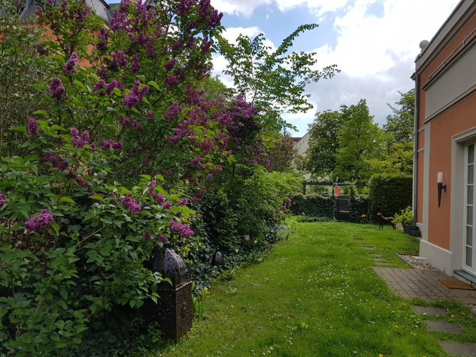 Garden, Garden view