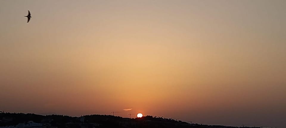 Sunrise
