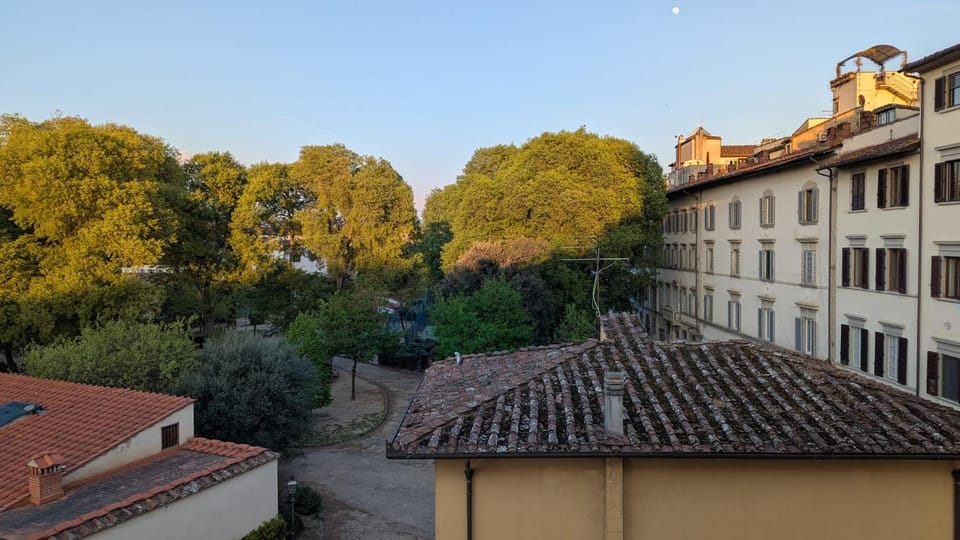 Spring, Natural landscape, City view, Street view