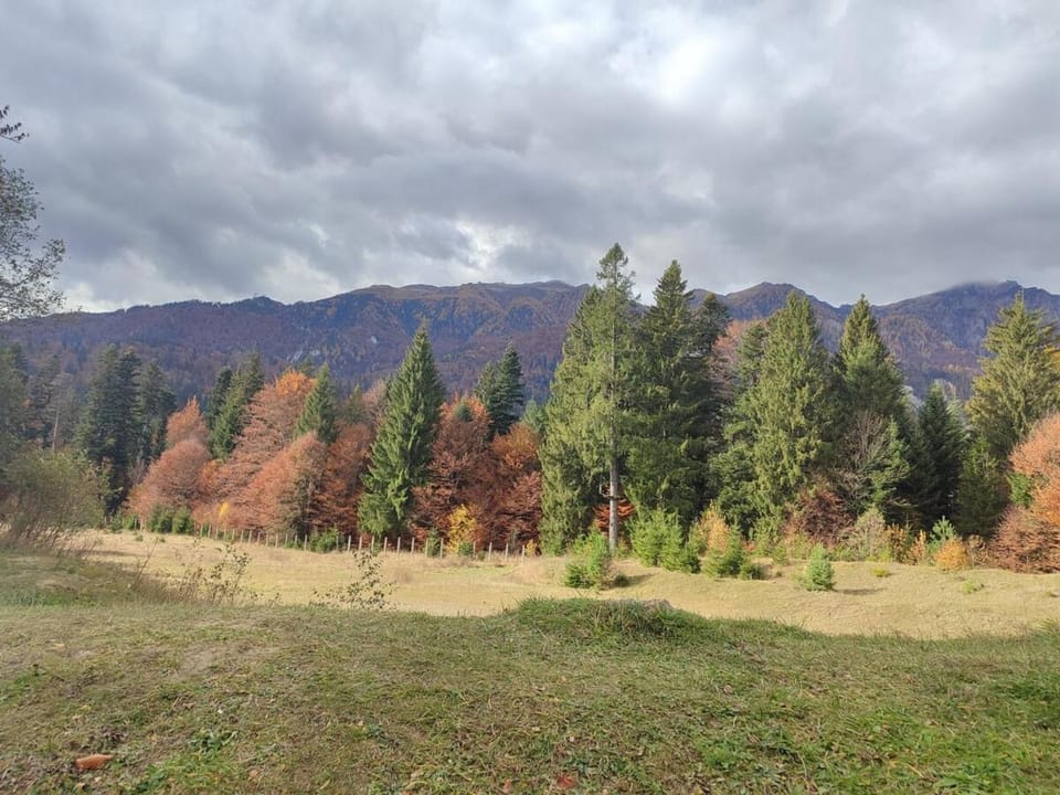 Studio Apartment in Sinaia