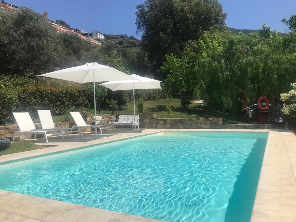 Garden, Swimming pool