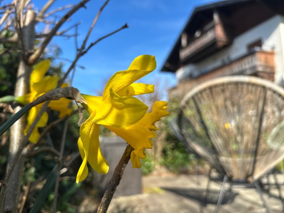 Wohnen & Bergblick Apartment in Lindau