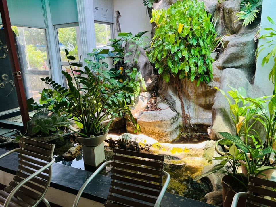 Natural landscape, Garden, Garden view