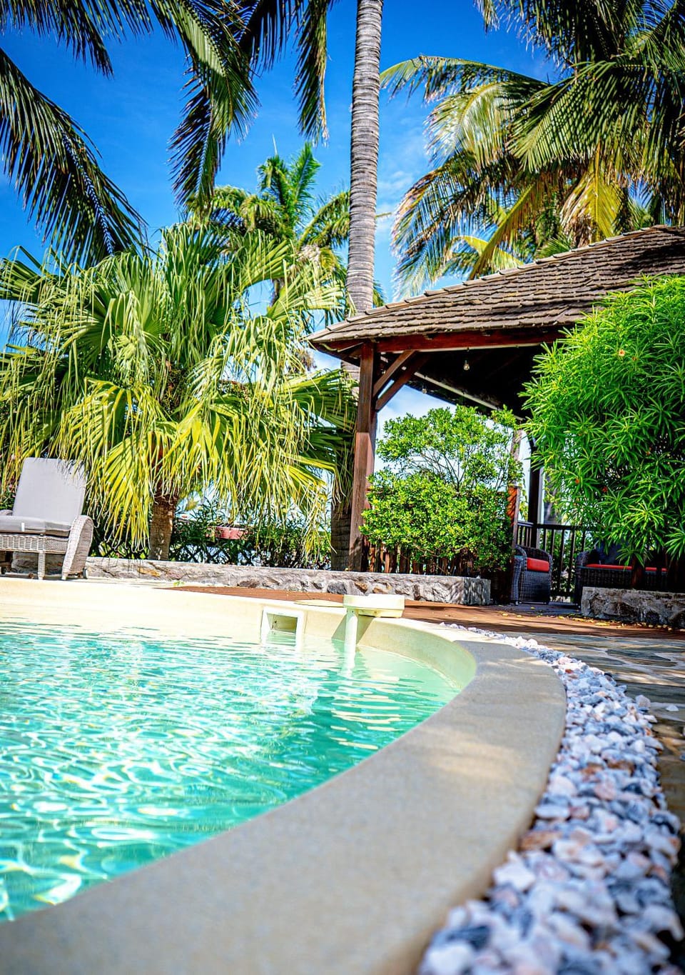 Patio, Day, Natural landscape, Garden, Garden view, Pool view, Swimming pool, sunbed