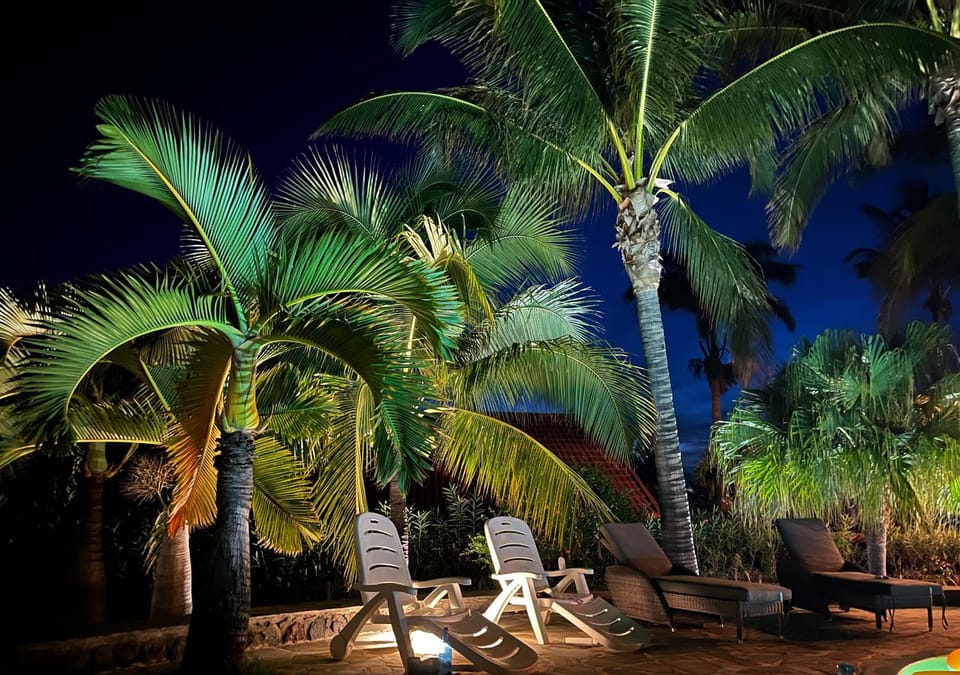 Night, Swimming pool, Swimming pool
